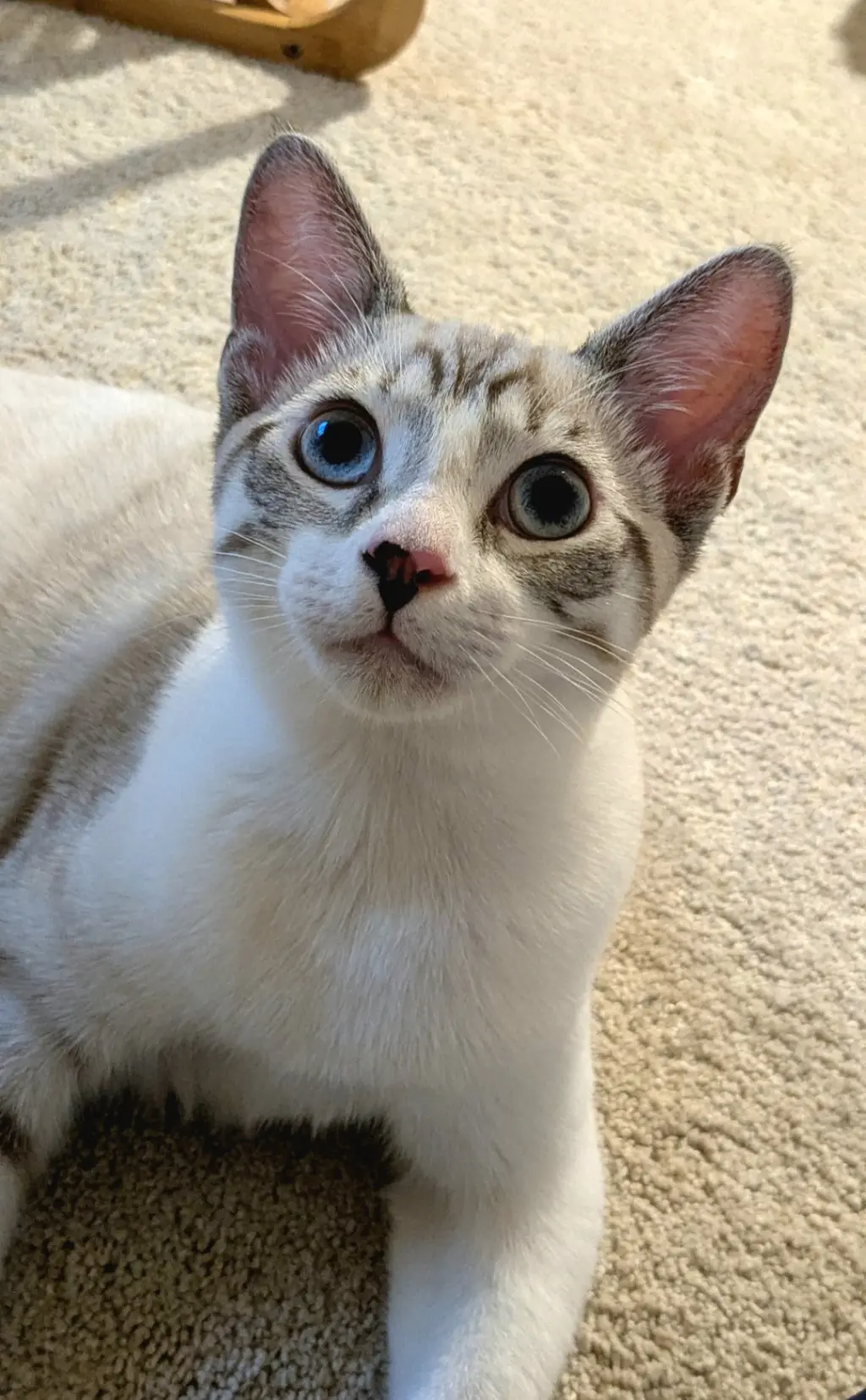 Romeo