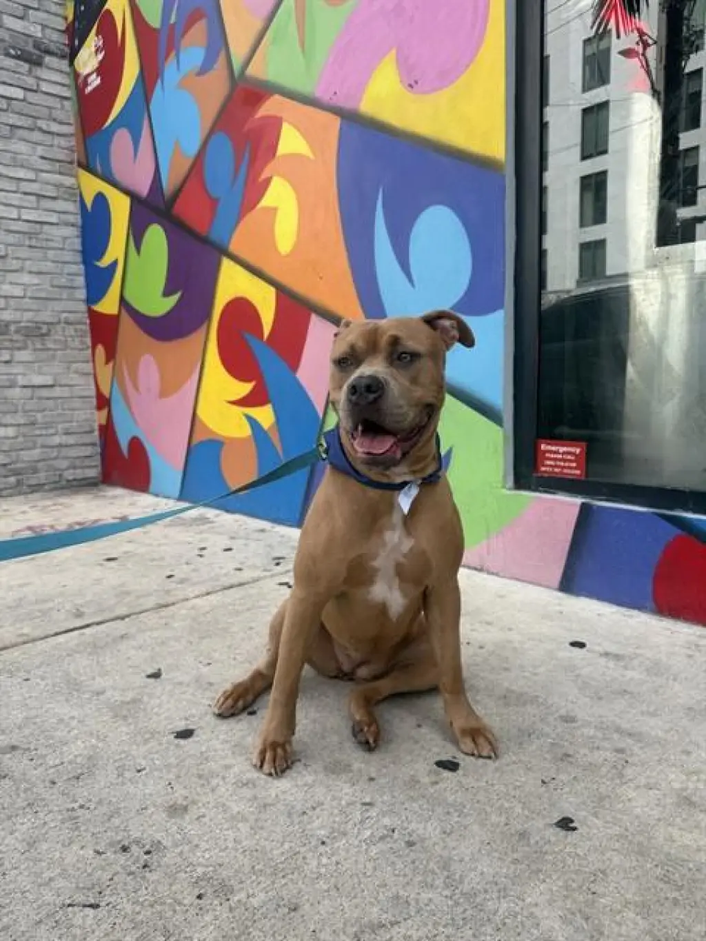 SANTANA