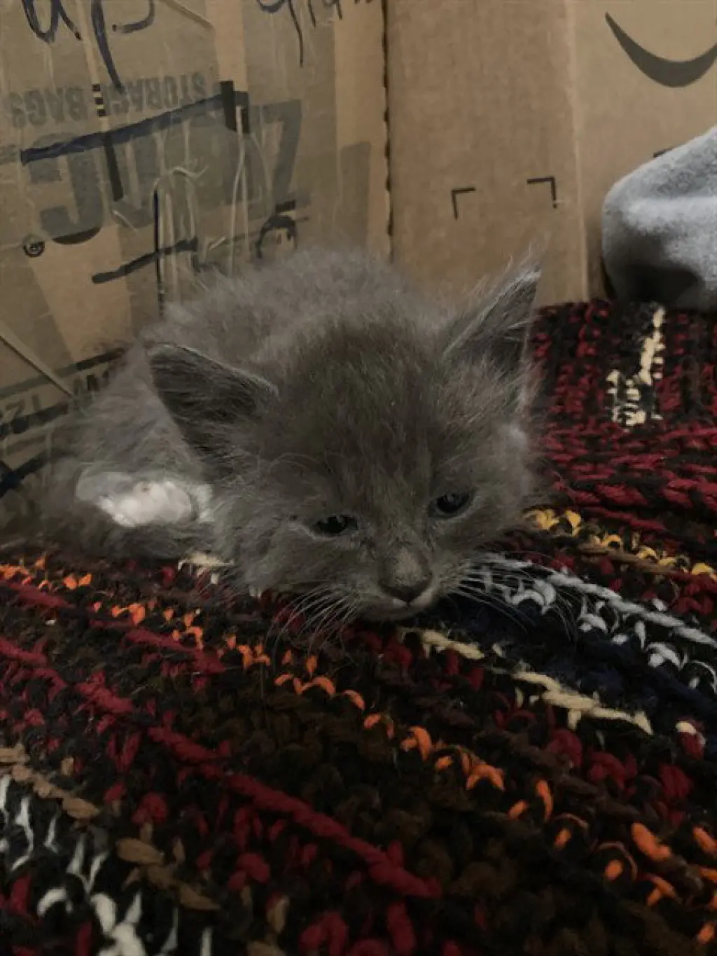 MITTENS