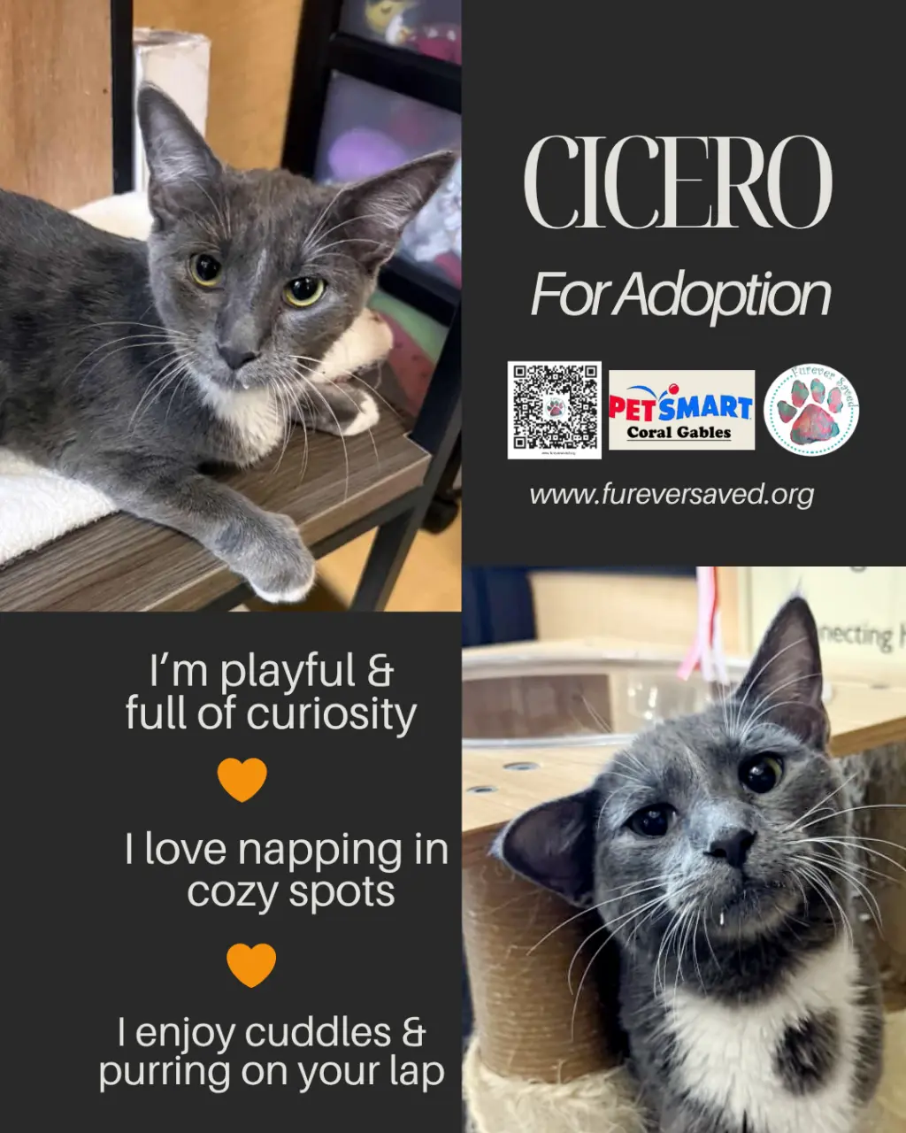 Cicero