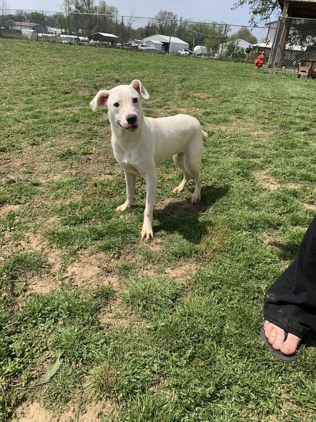 Casper