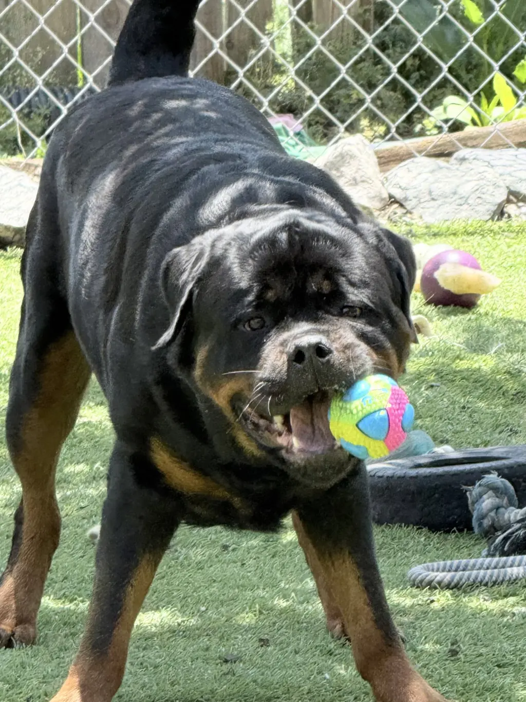 Big Poppa