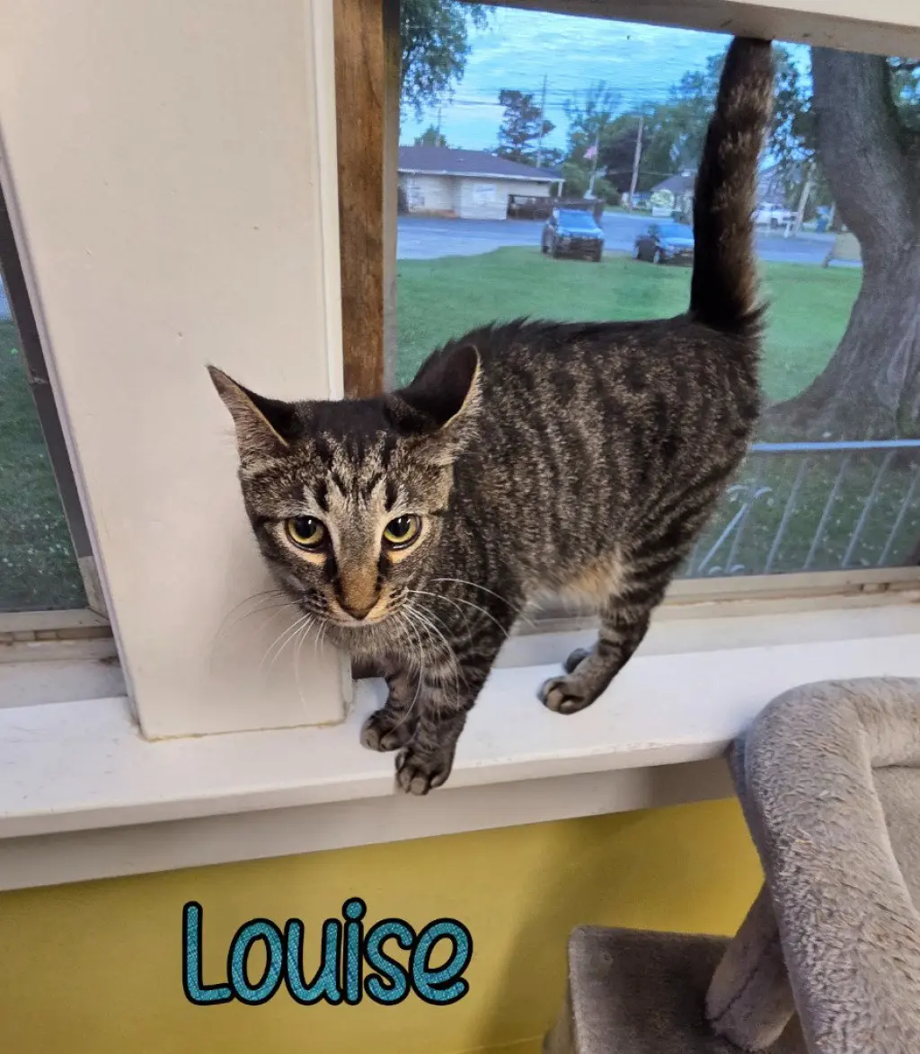 Louise