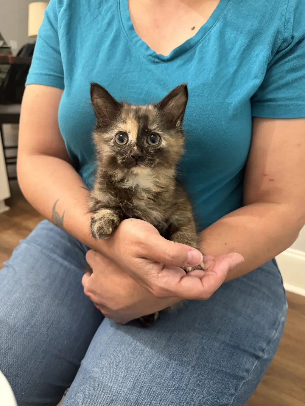 Tia (Available for pre-adoption)
