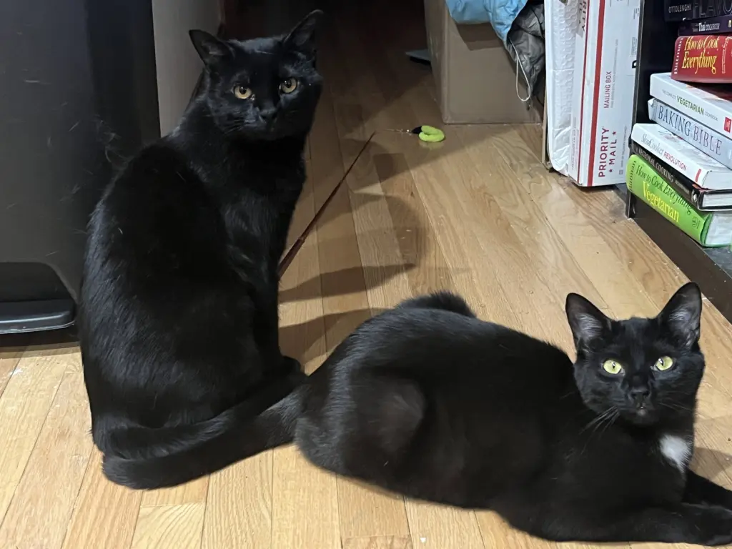 Bari and Gigi