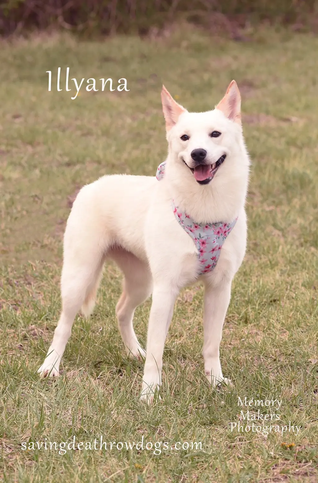Illyana