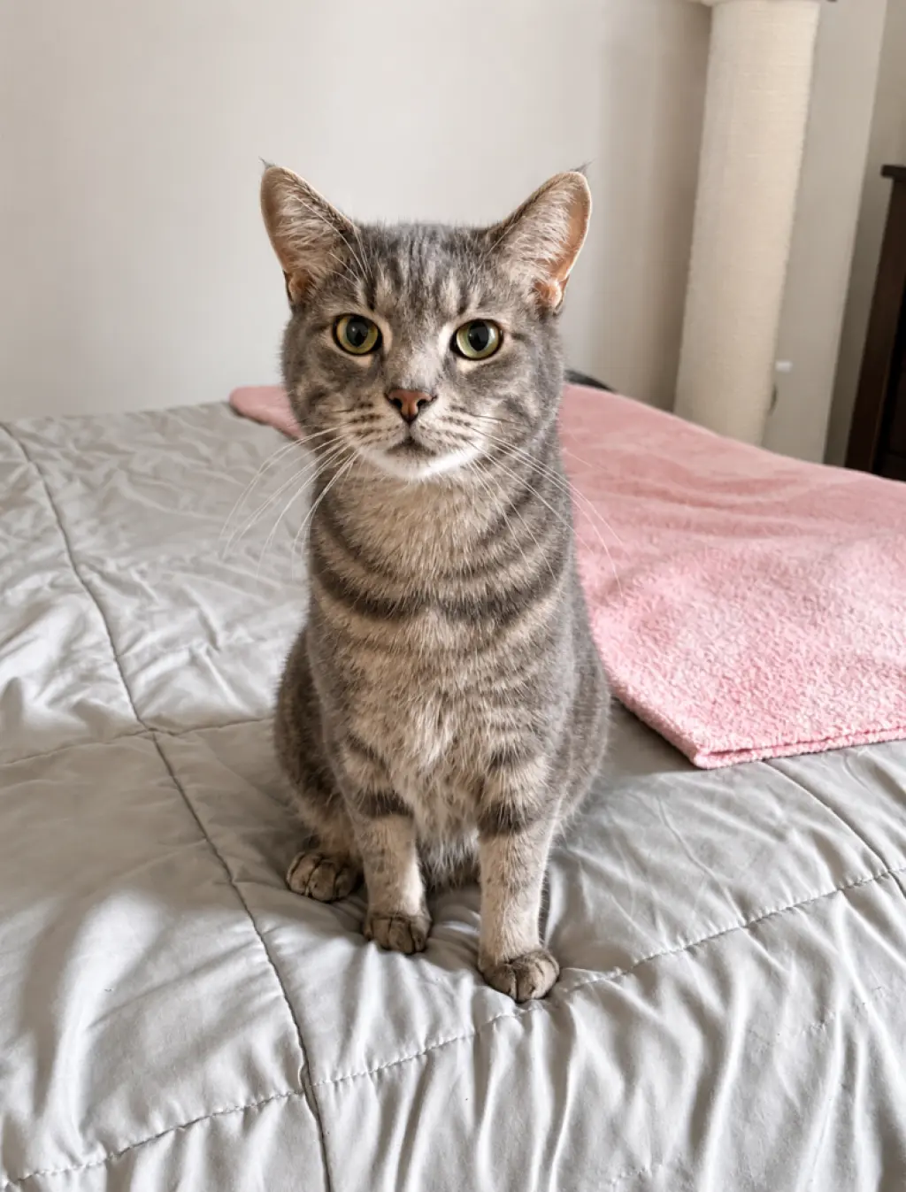 Finn