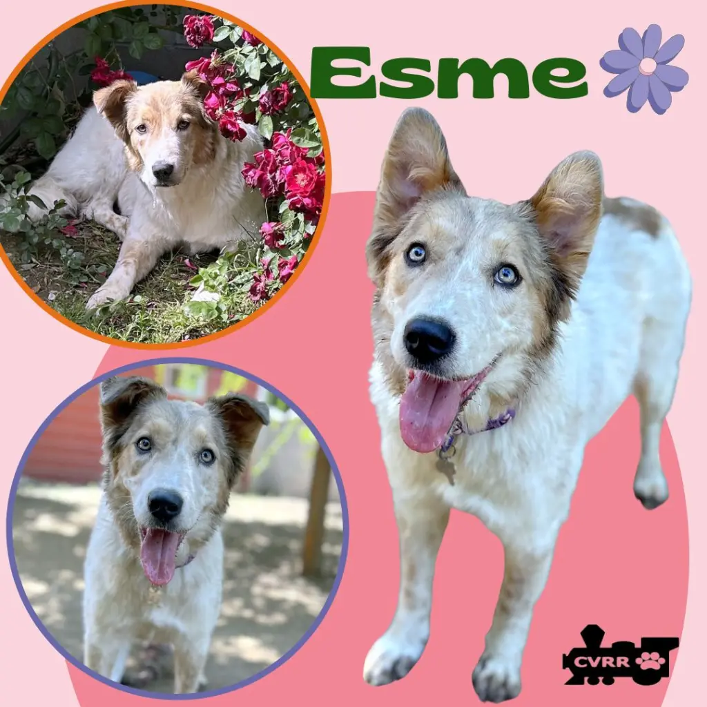Esme