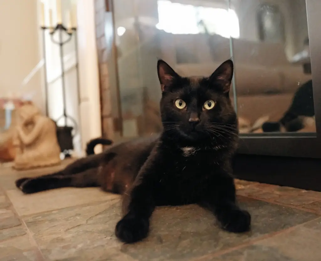 Princess Sabrina