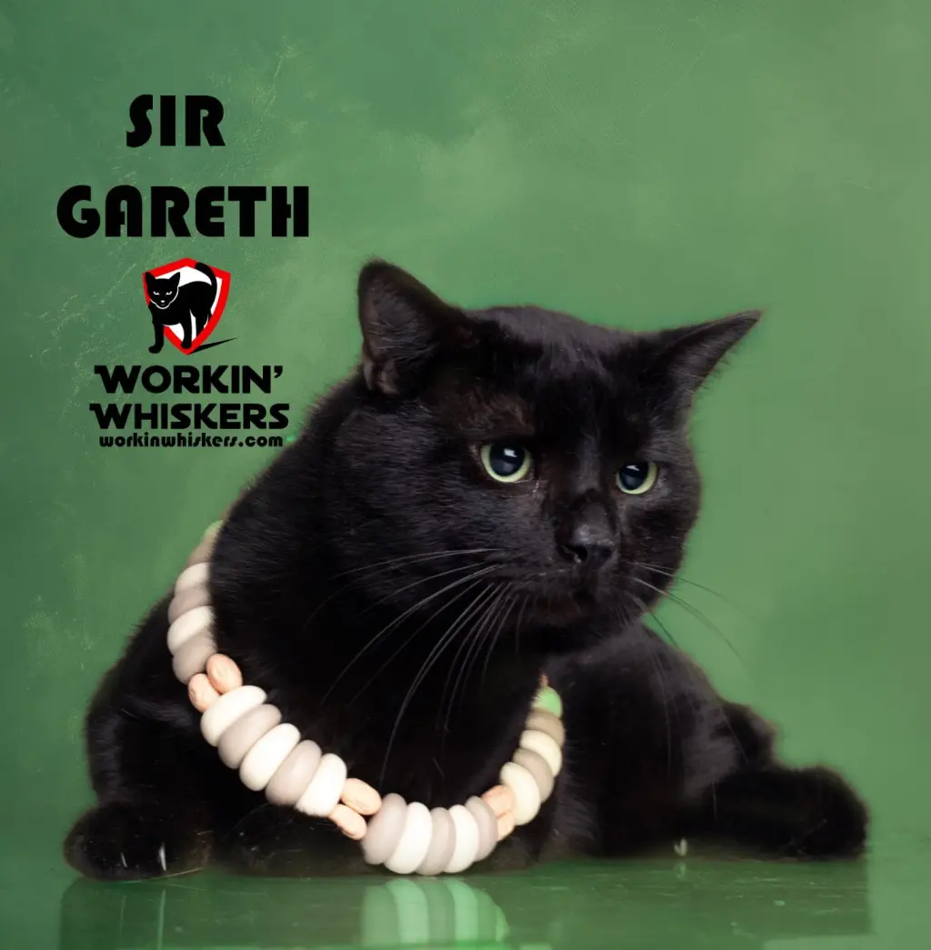 SIR GARETH