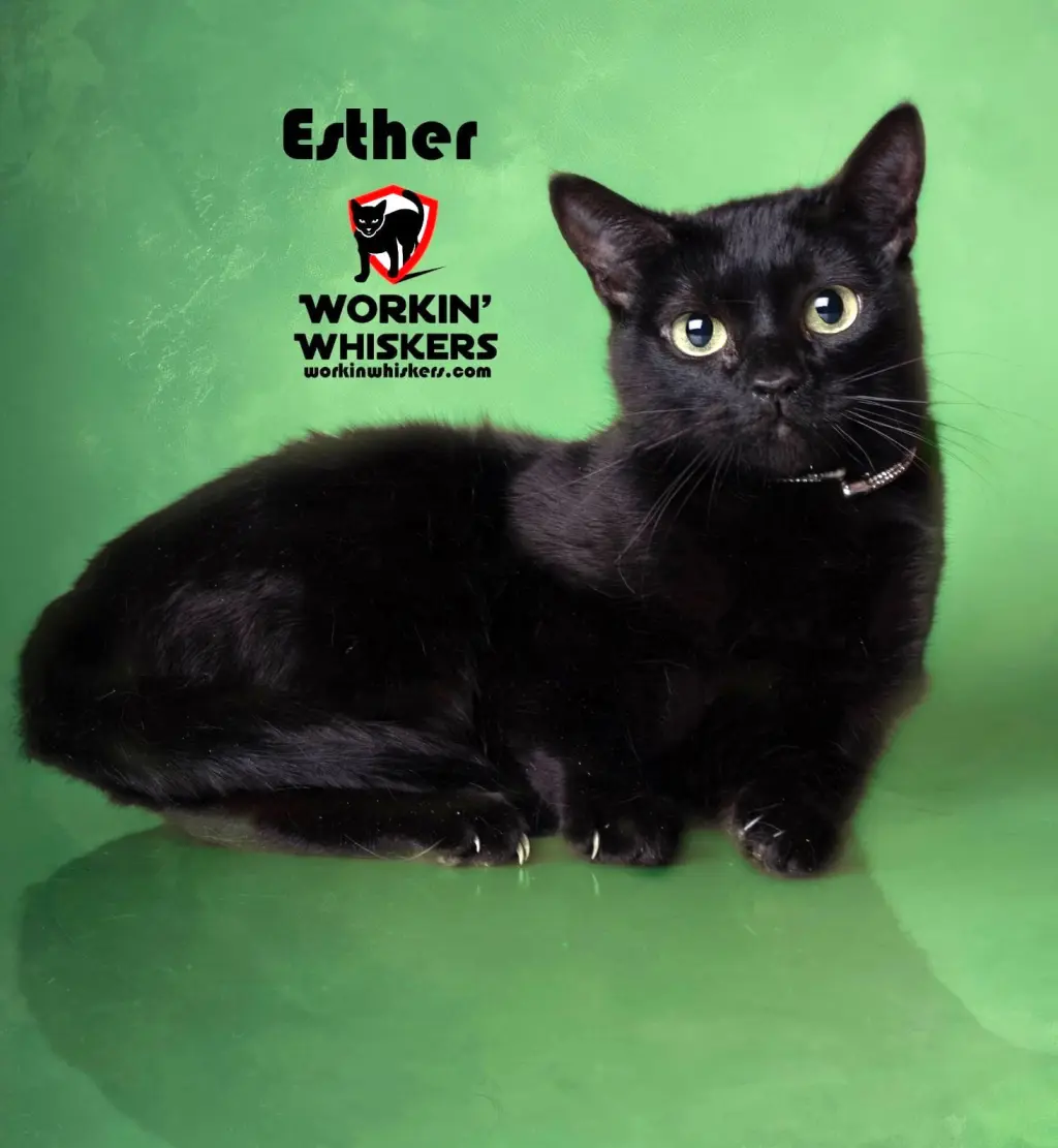 ESTHER