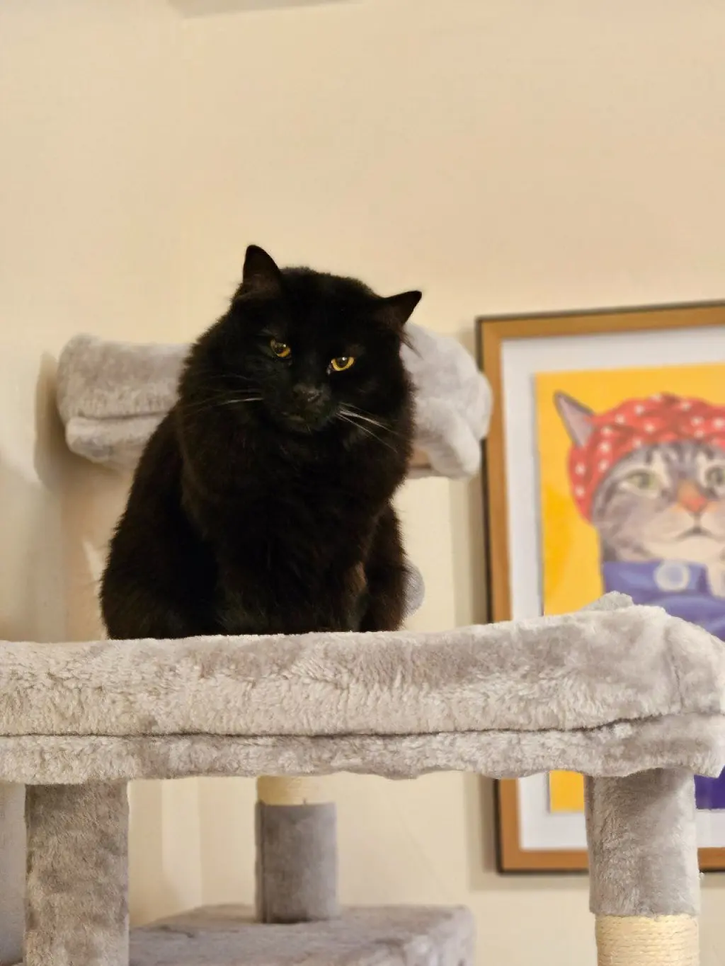 Mittens