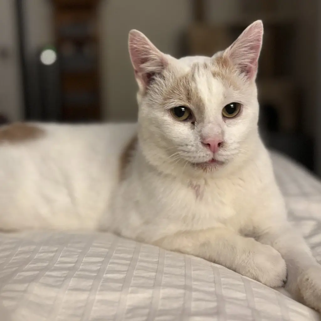 Floyd (bonded to Earl)