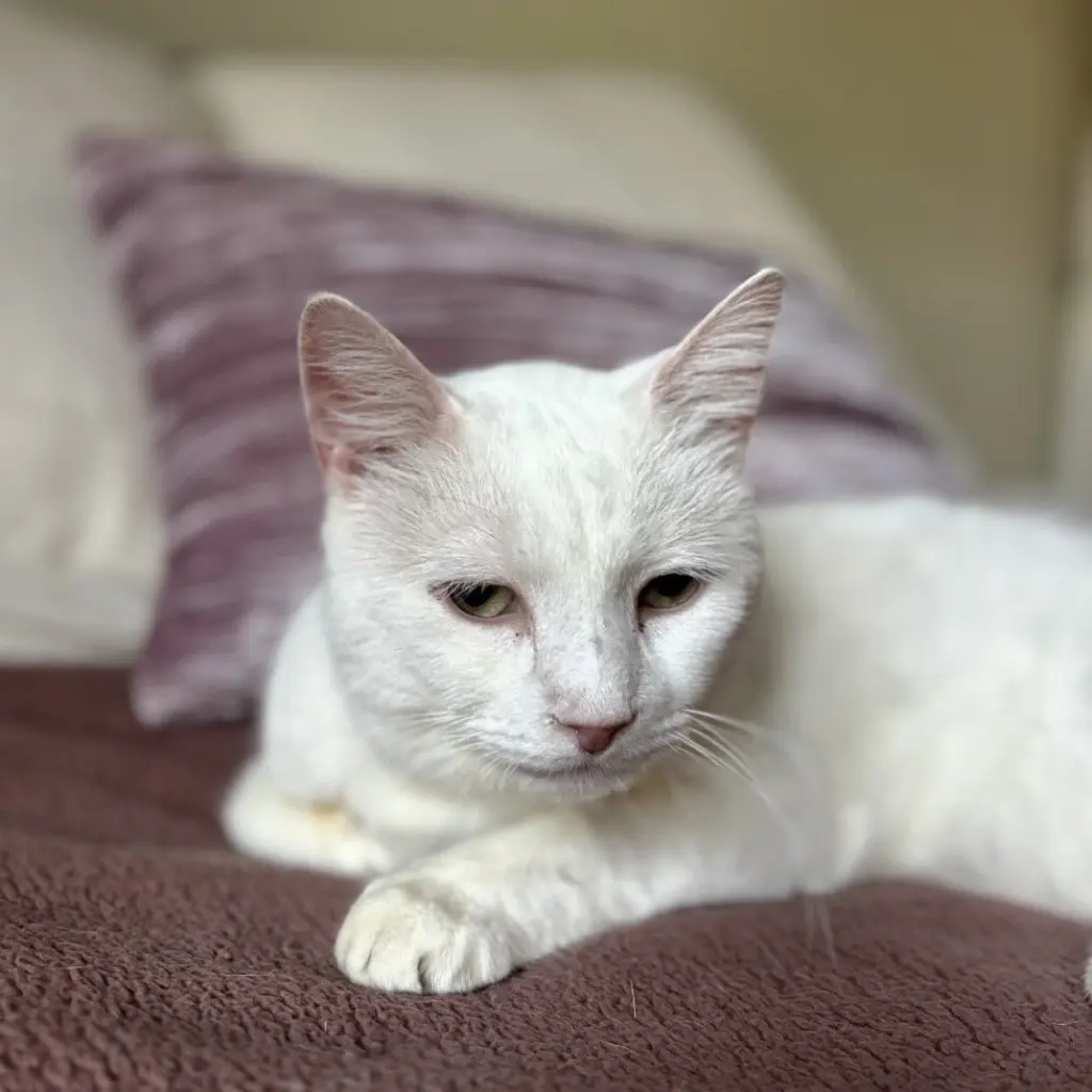 Earl (bonded to Floyd)