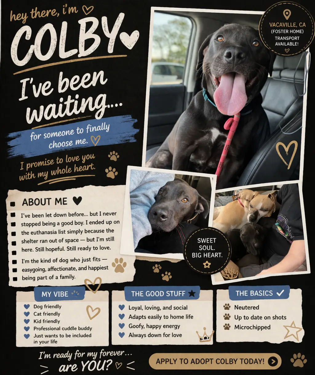 Colby