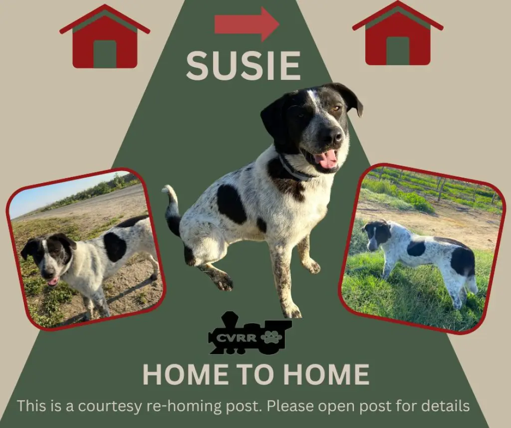 *Susie* HOME TO HOME
