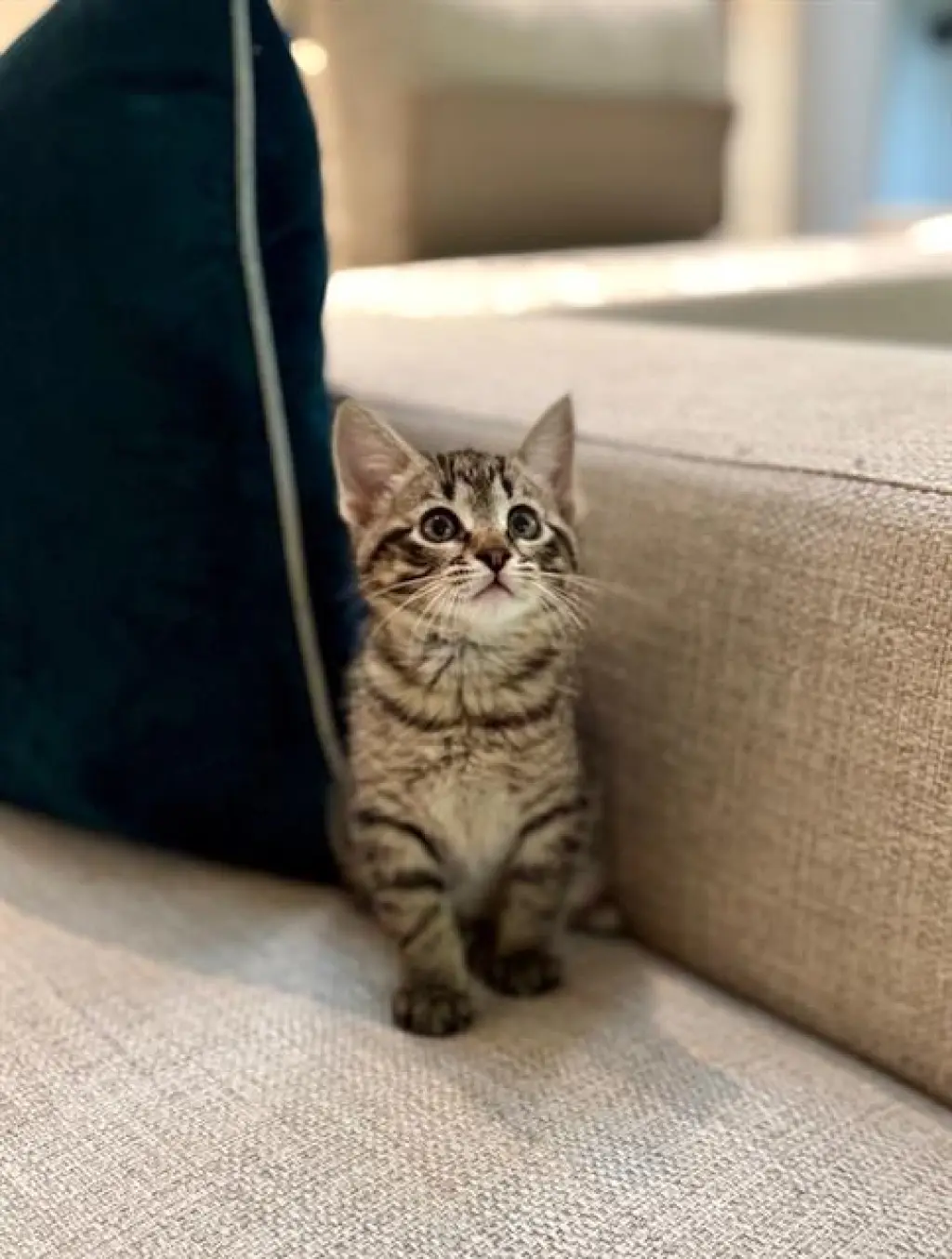 CHARLIE