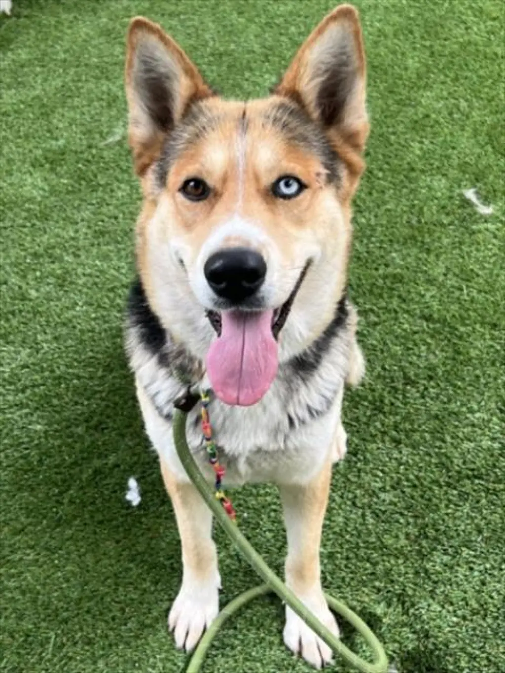 DELILAH
