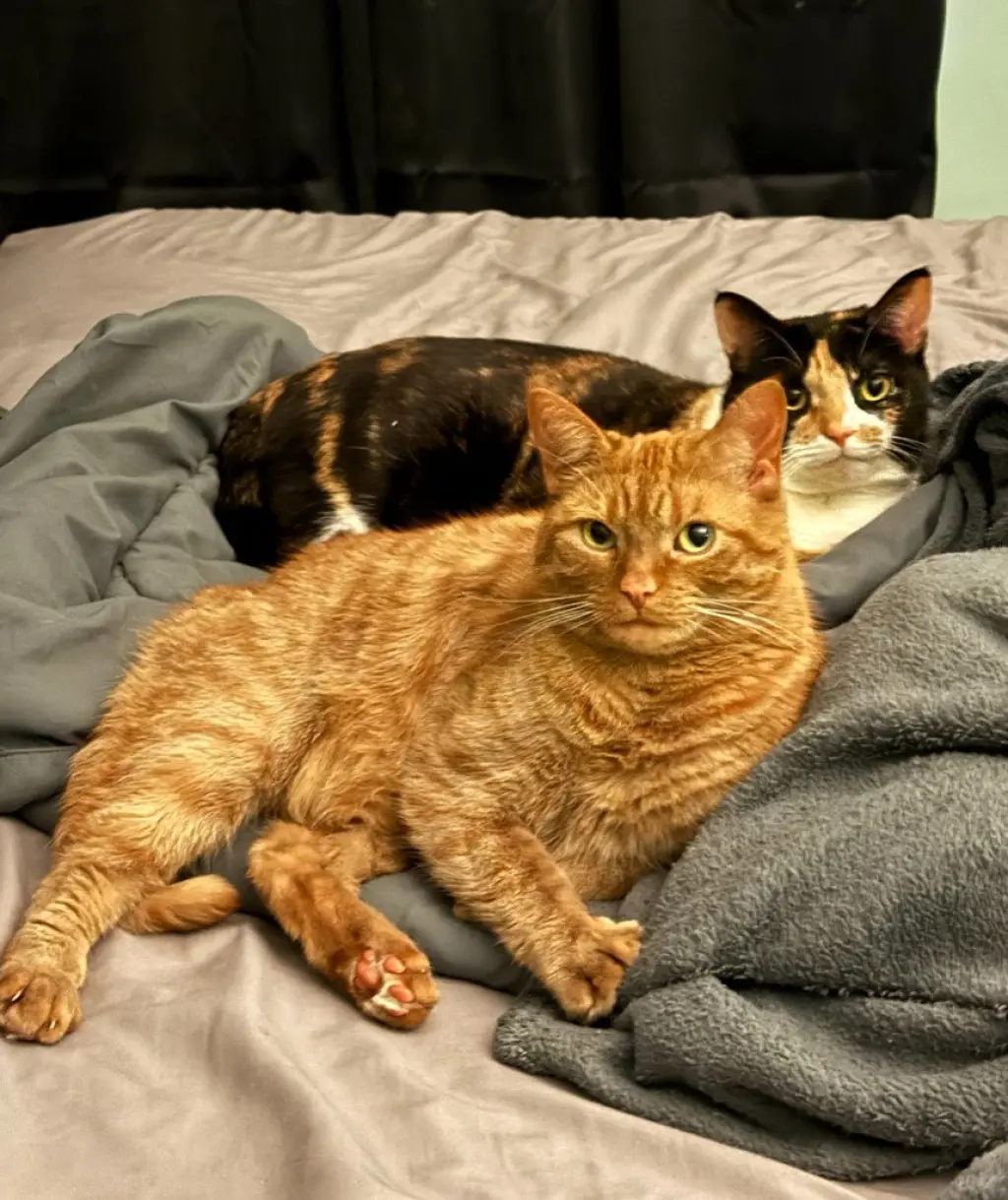 Nala & Squish (Courtesy Post)