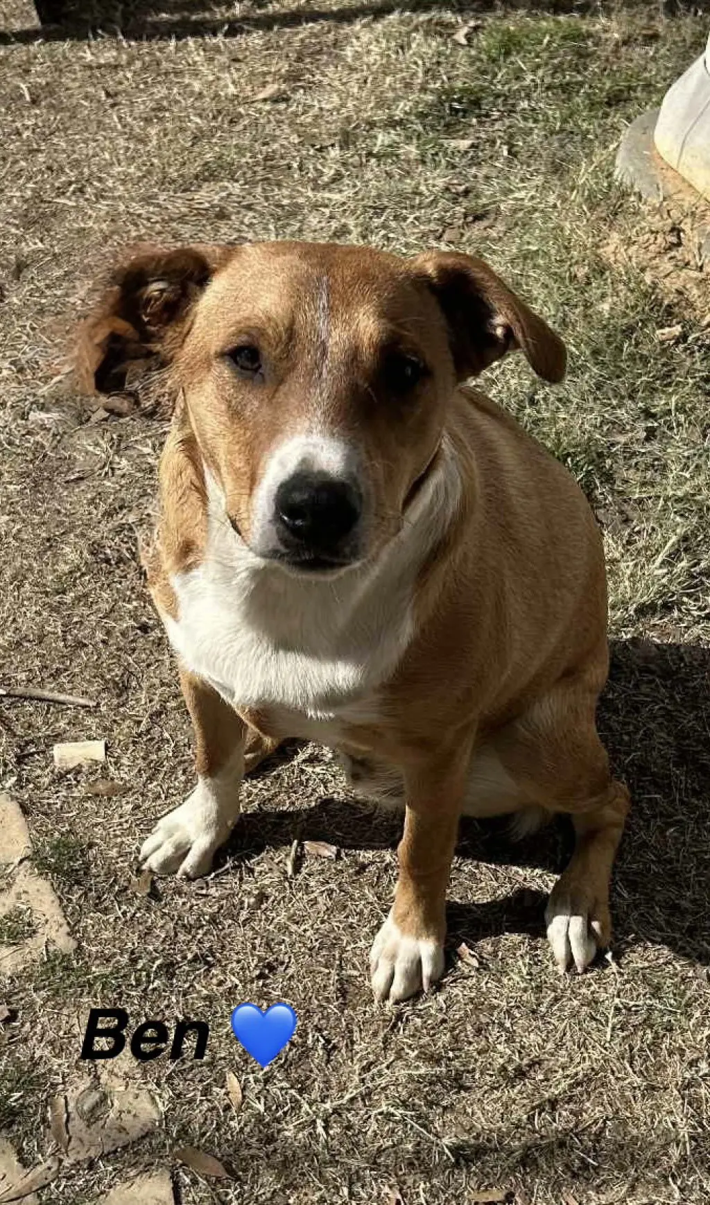 Ben - Beautiful boy!
