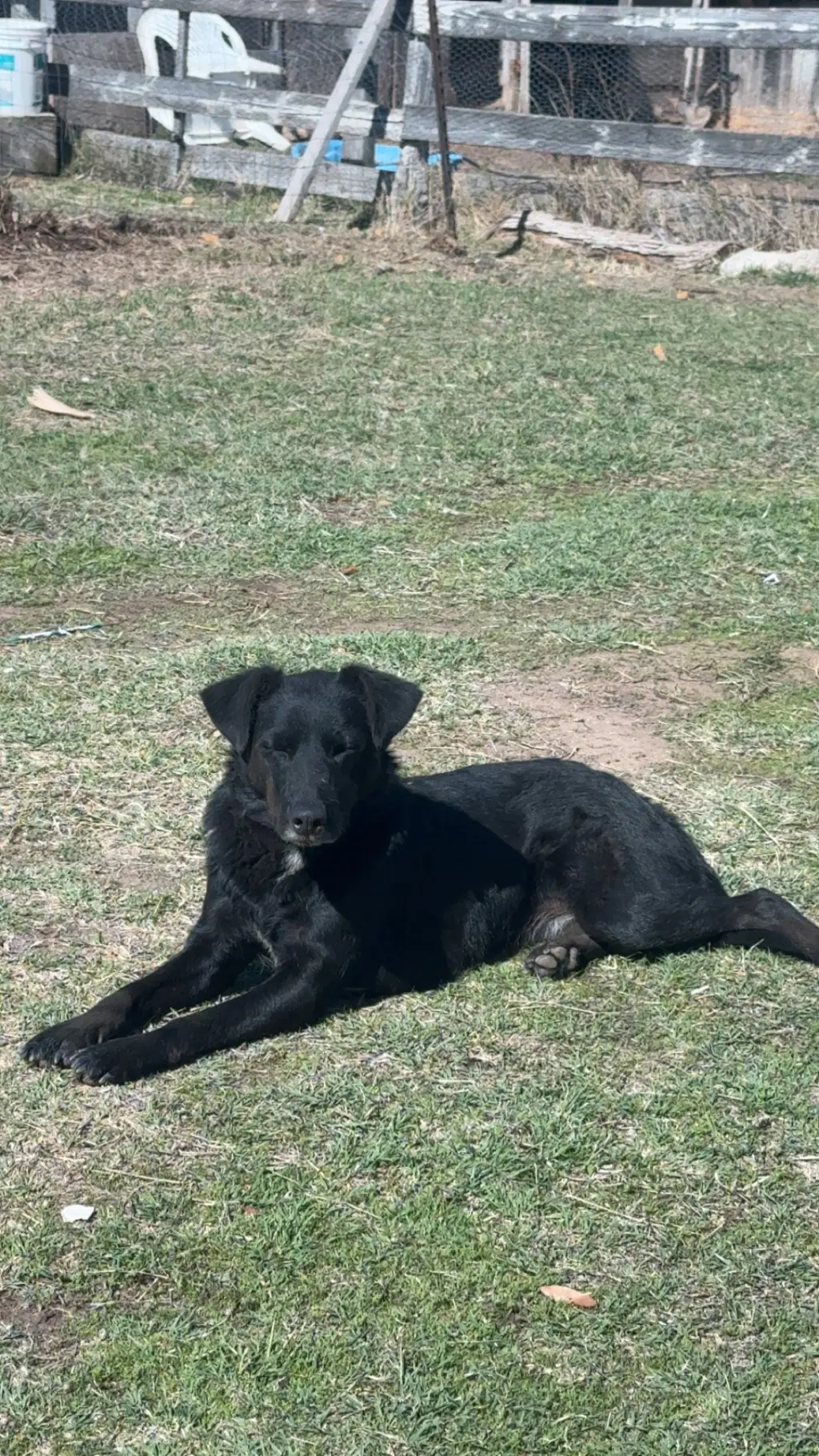 Luna