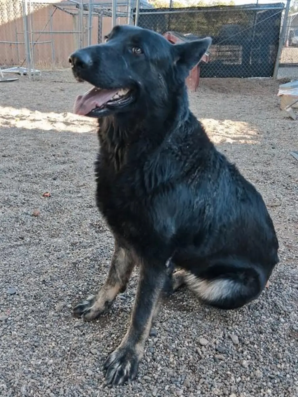 LULU