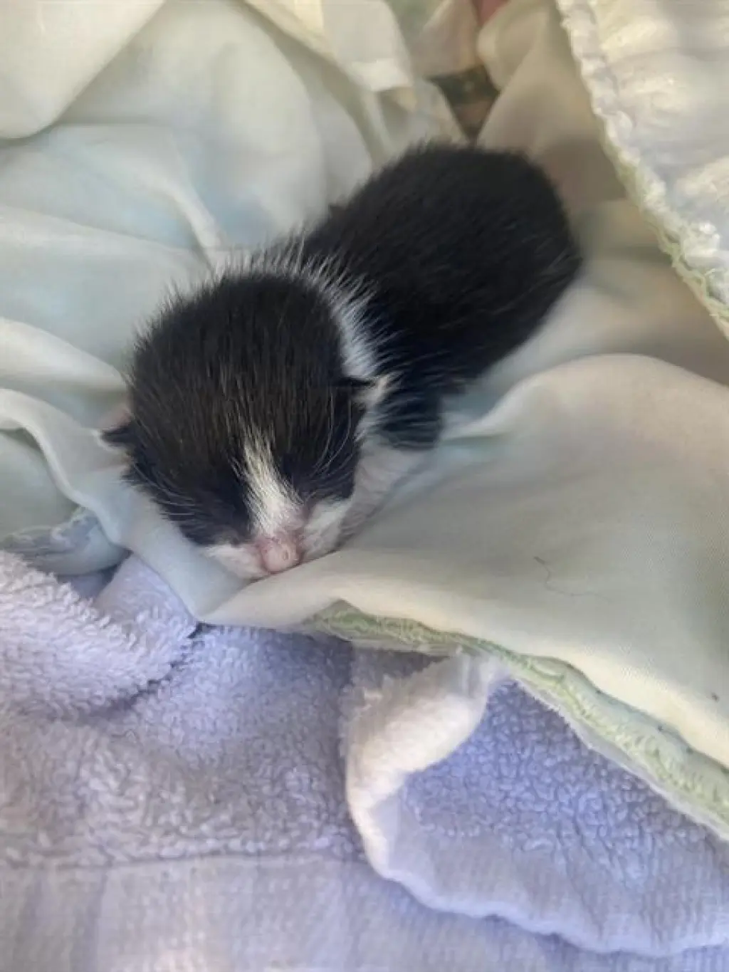 TINY