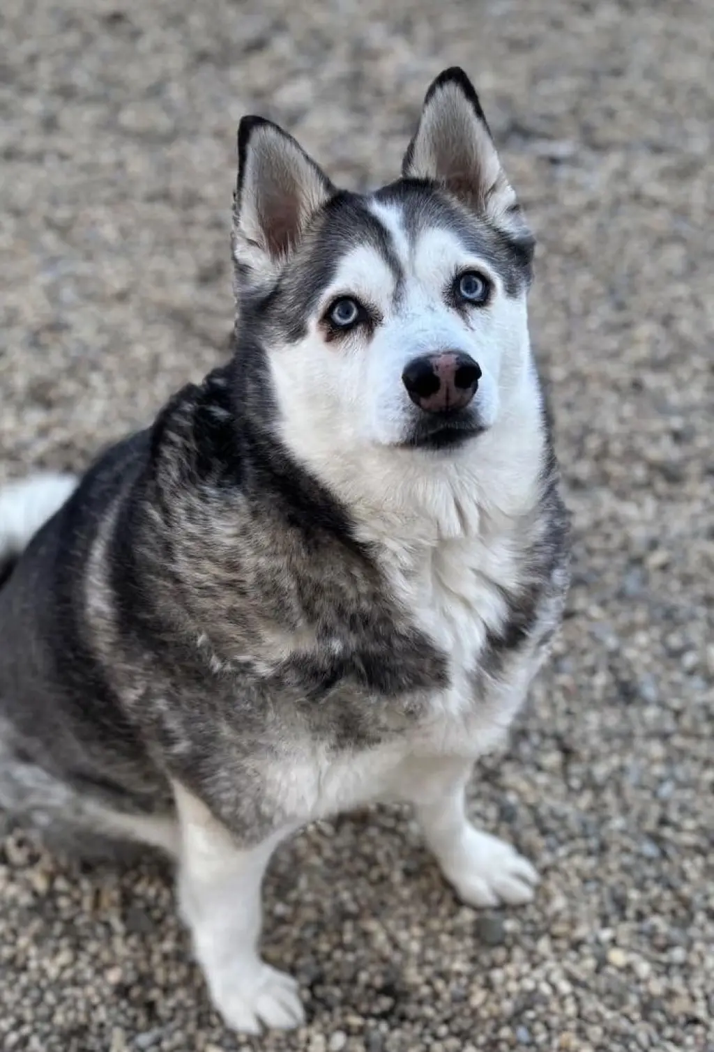 Nikko