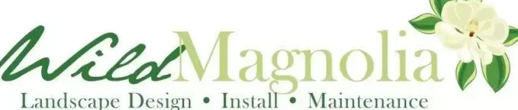 Wild Magnolia