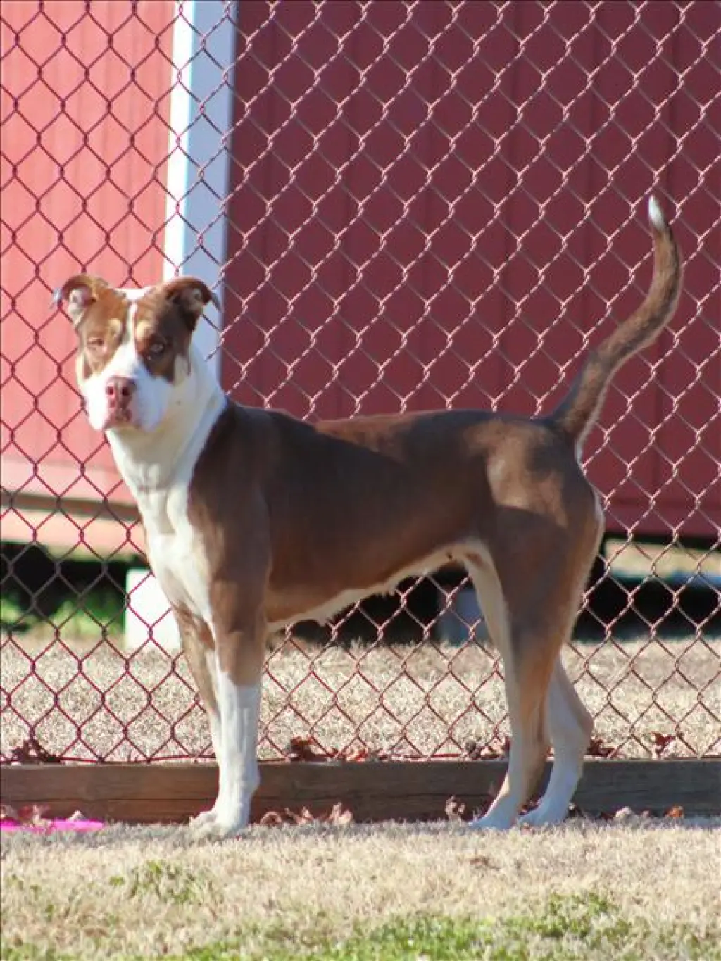 DESTINY