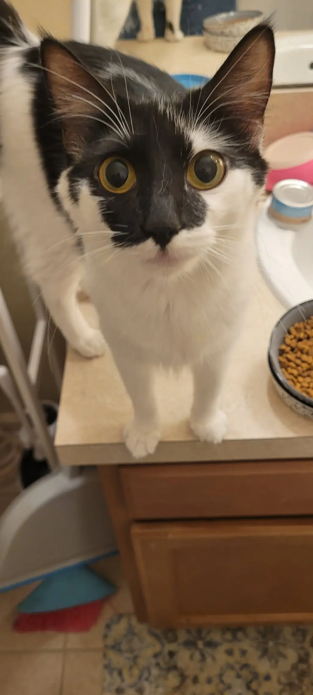 Nellie Mae