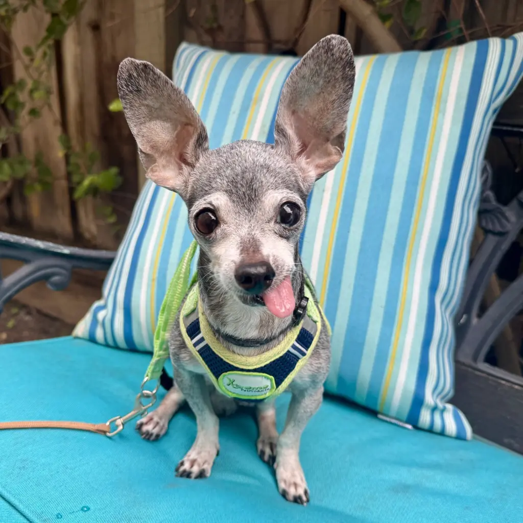Baxter