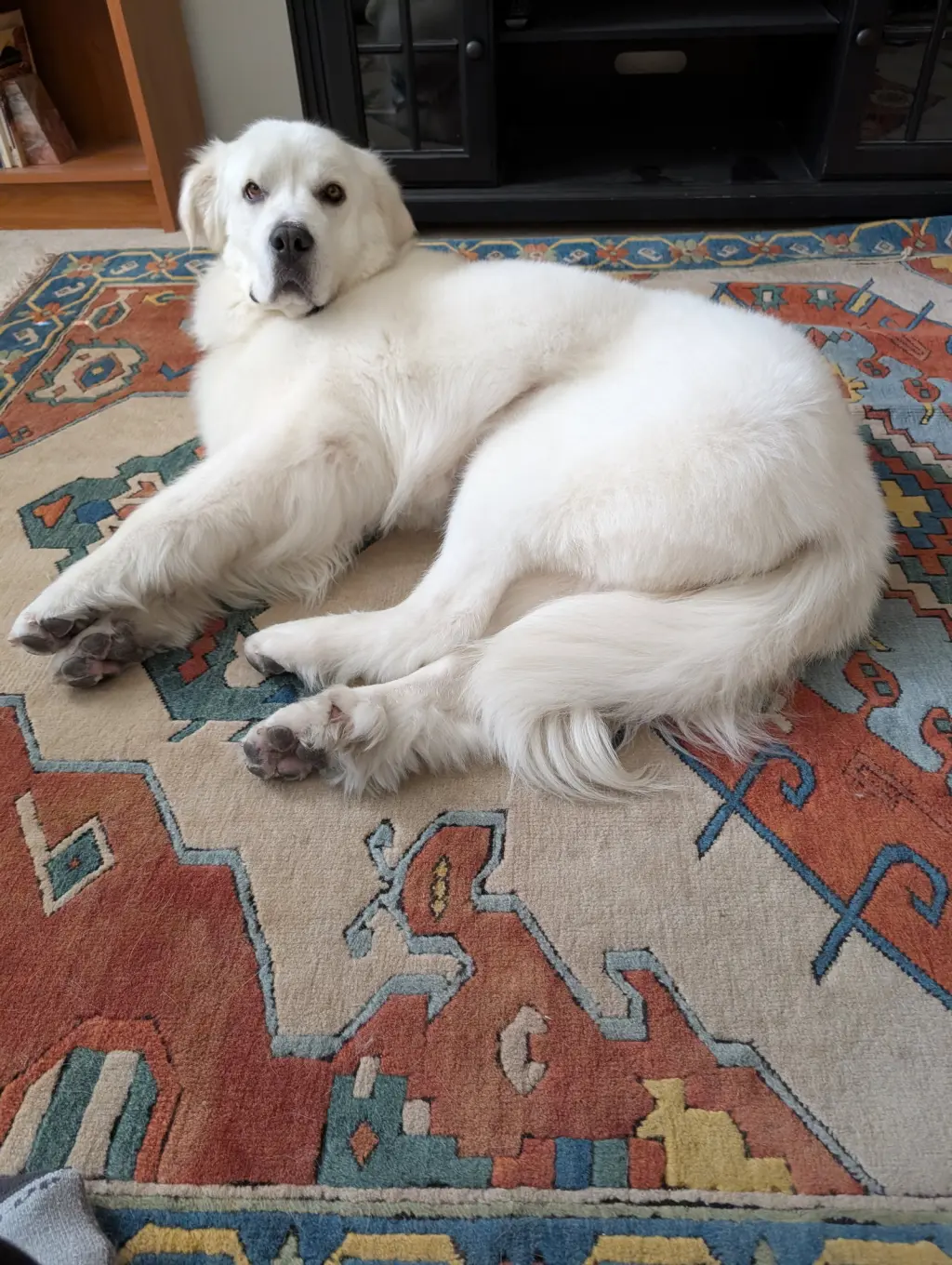 Miss Lucy