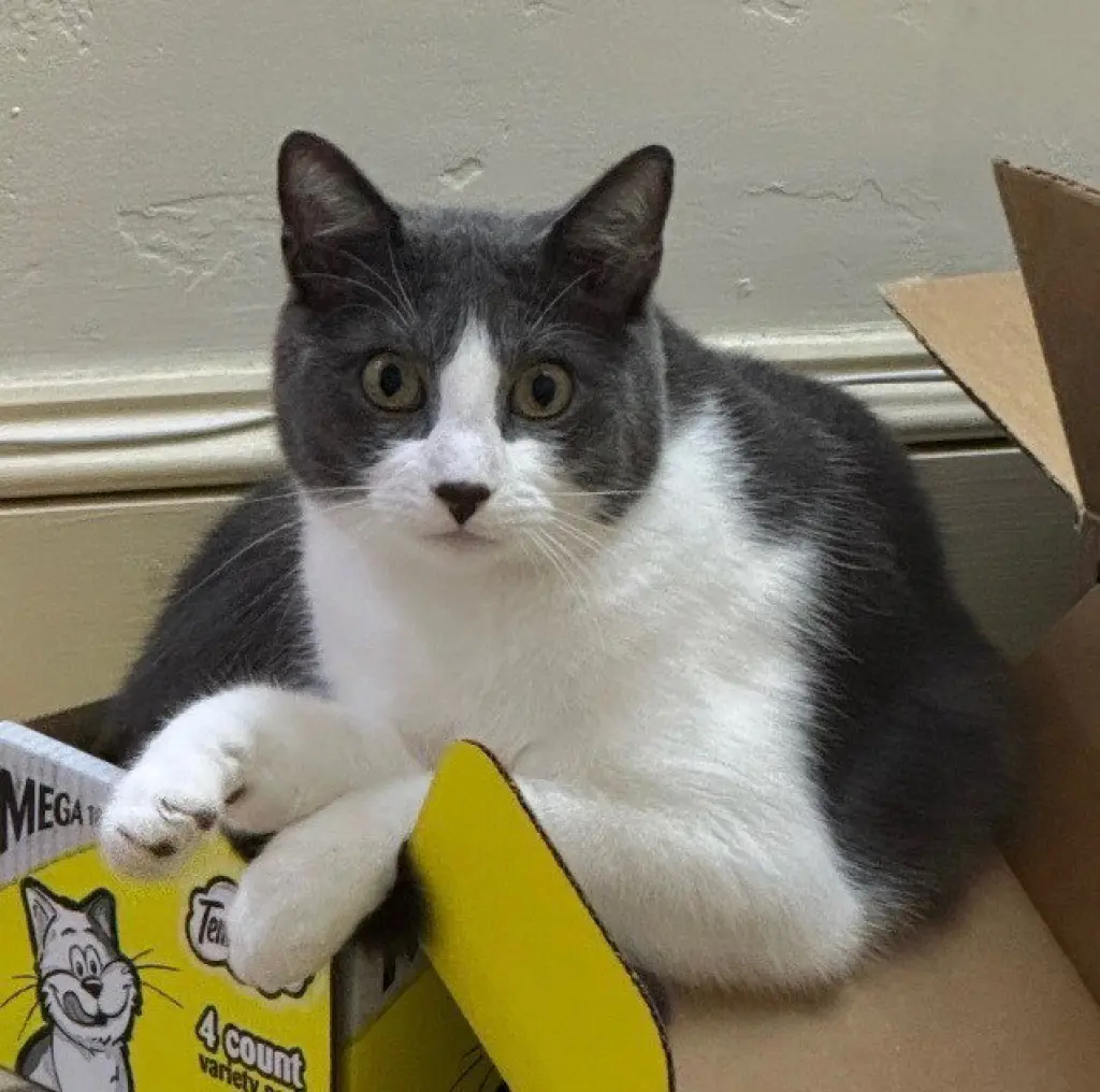 Zeus