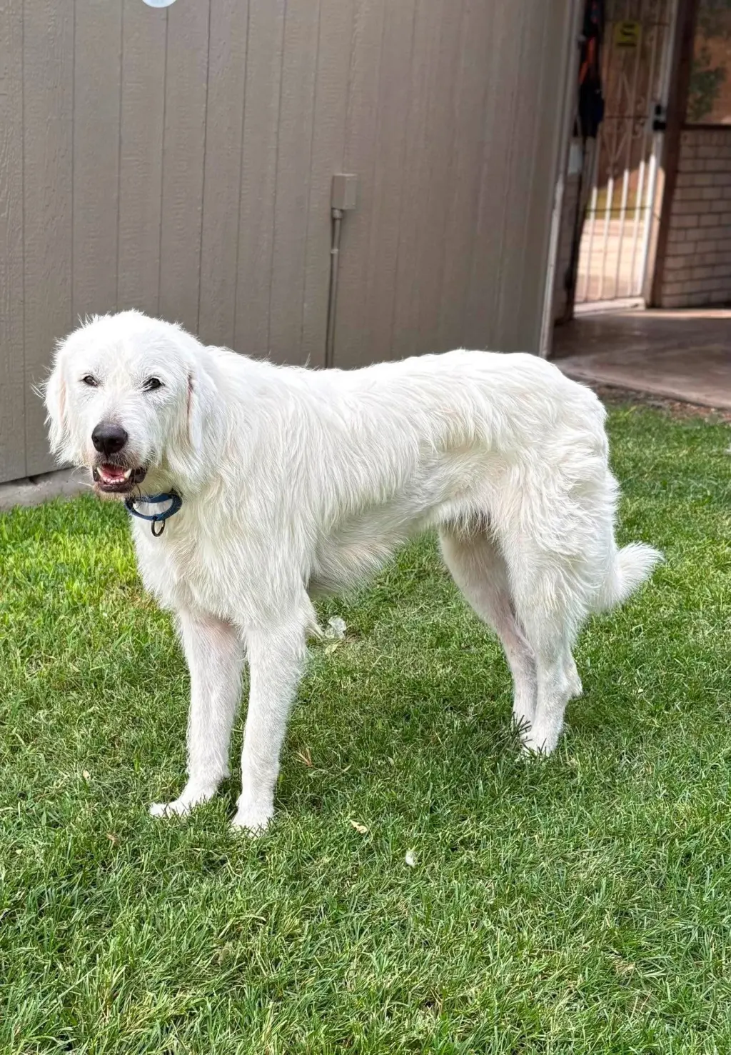 Max