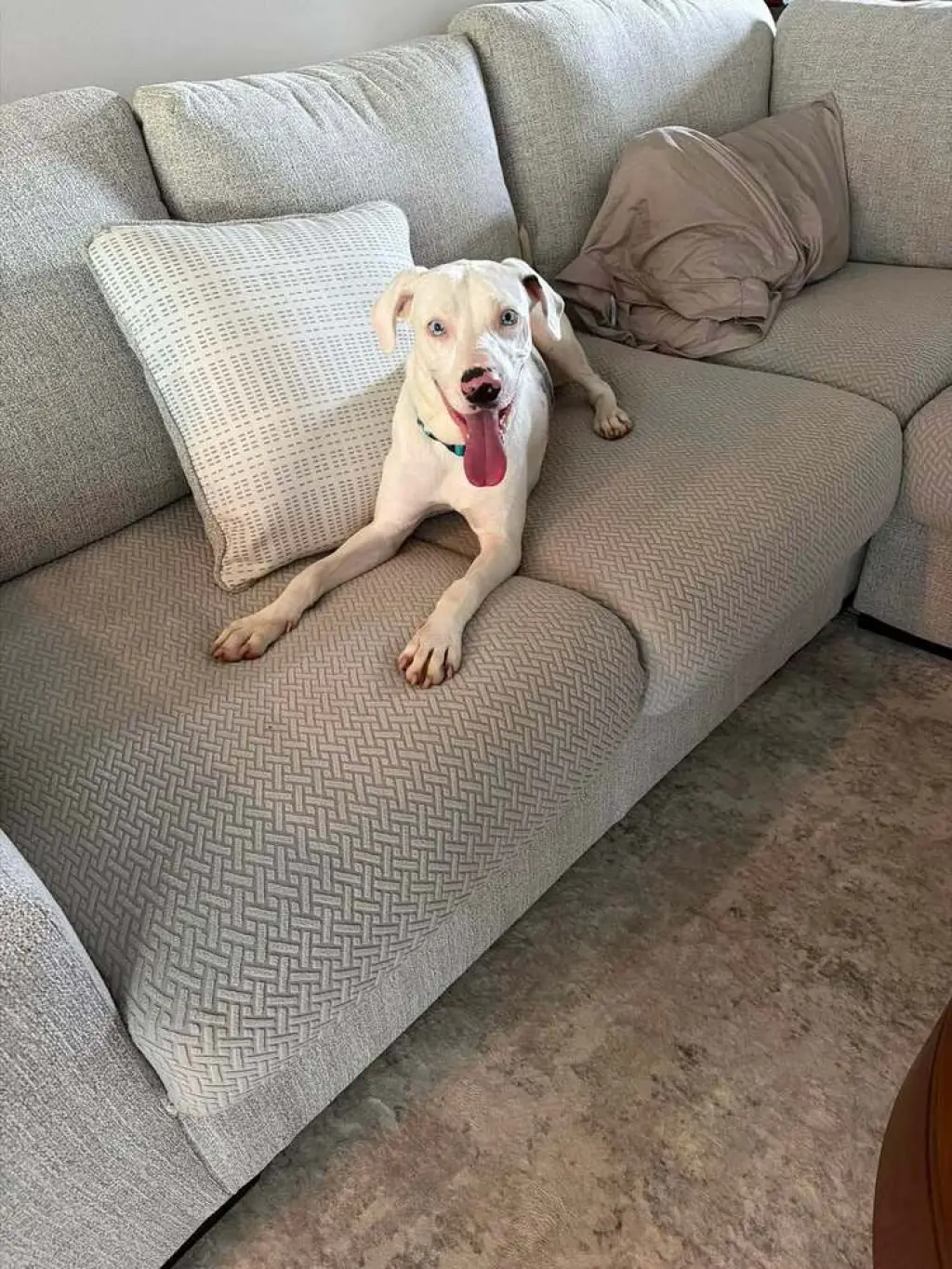 Caesar