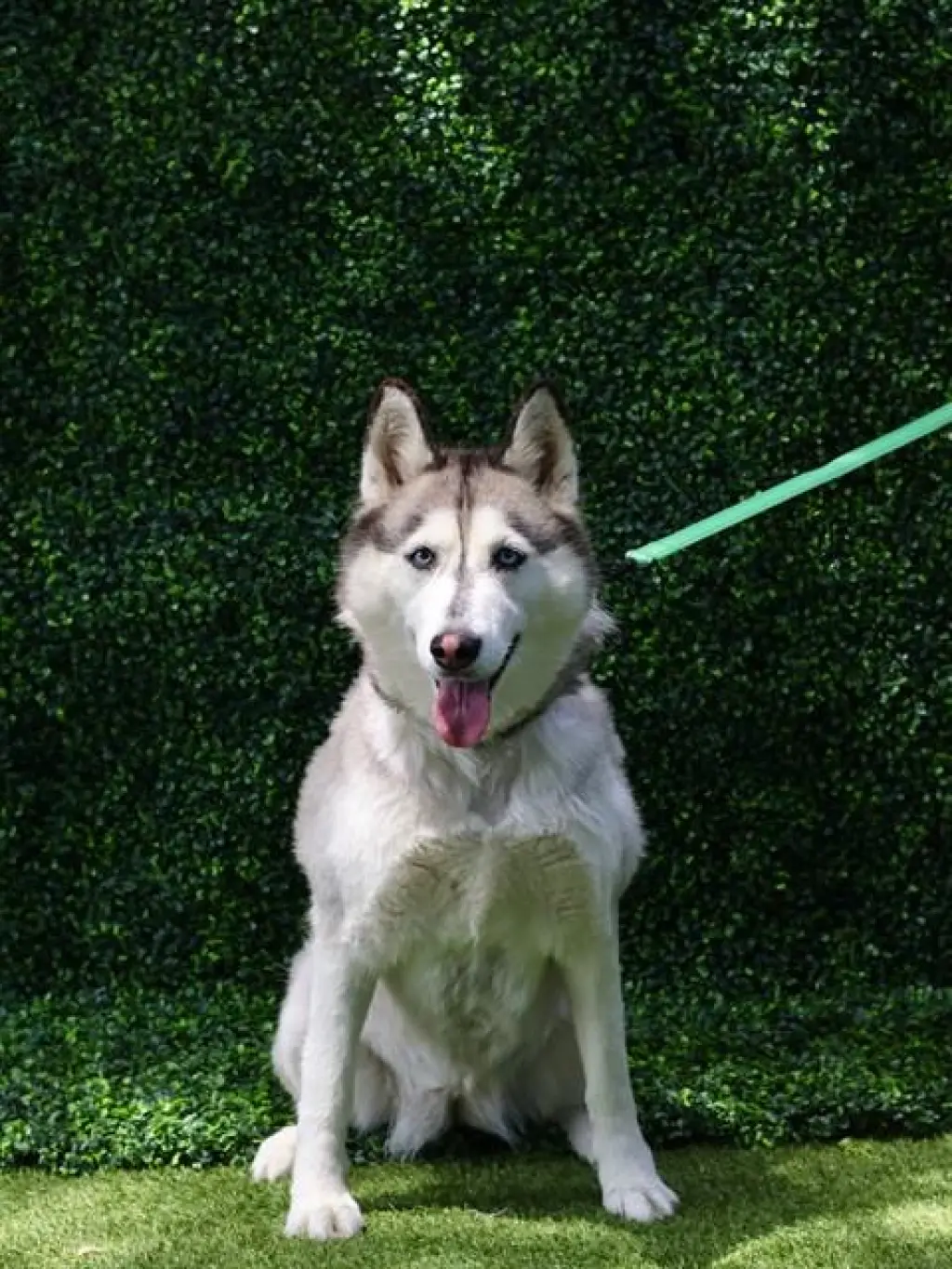 NALA