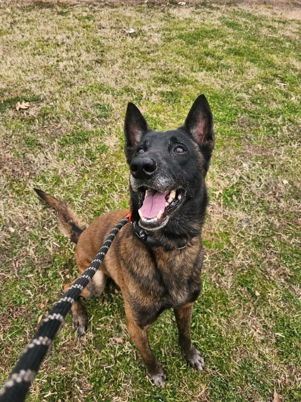 Deputy - Located in Tennessee