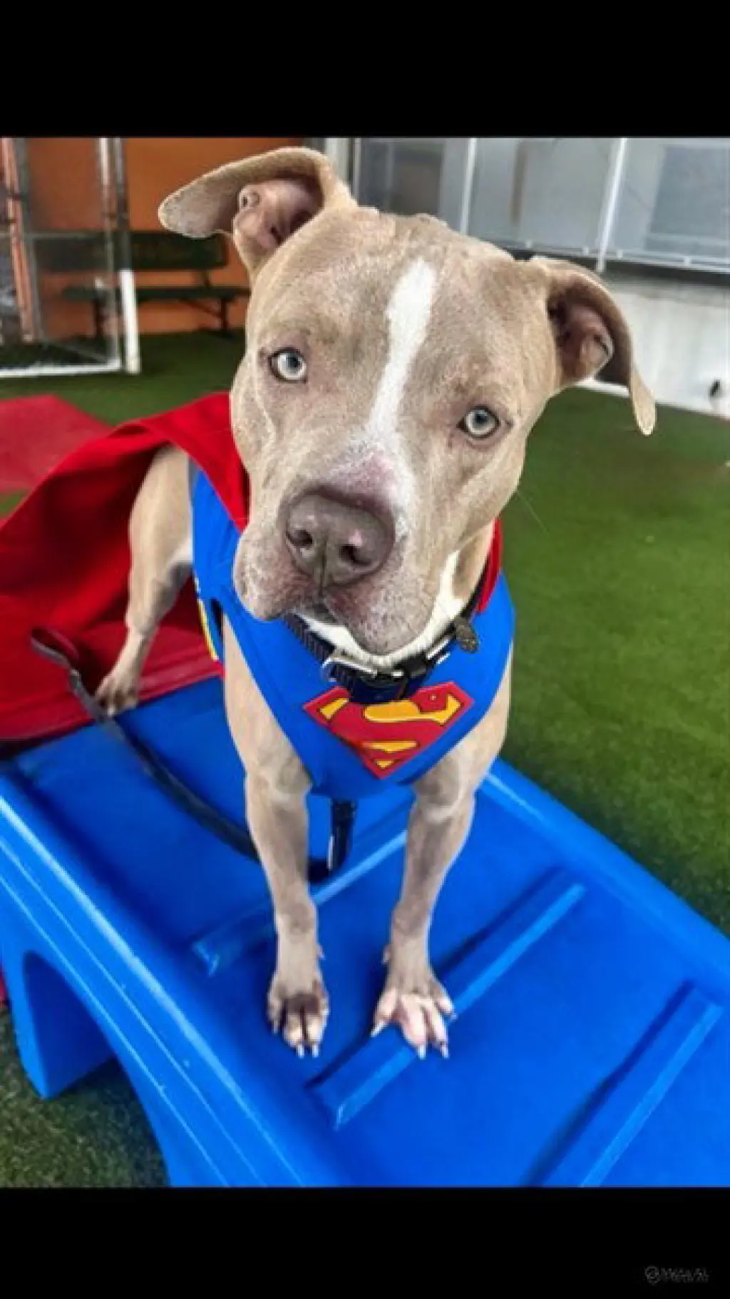 SUPERMAN