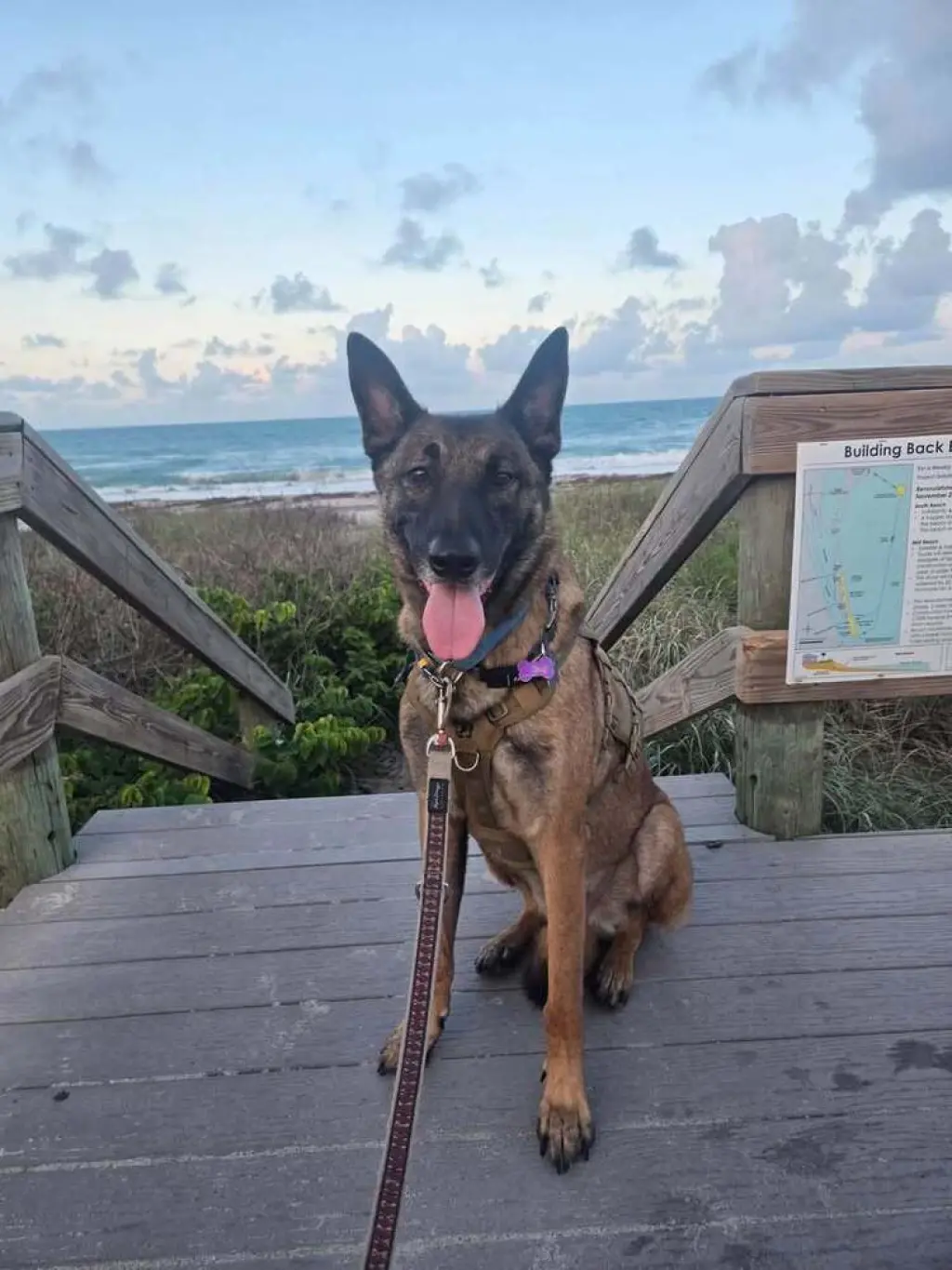 Gary - Located in Florida