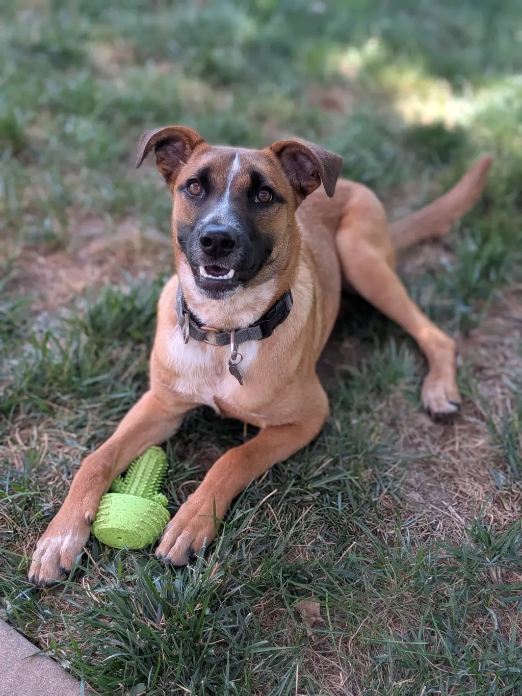 Kora
