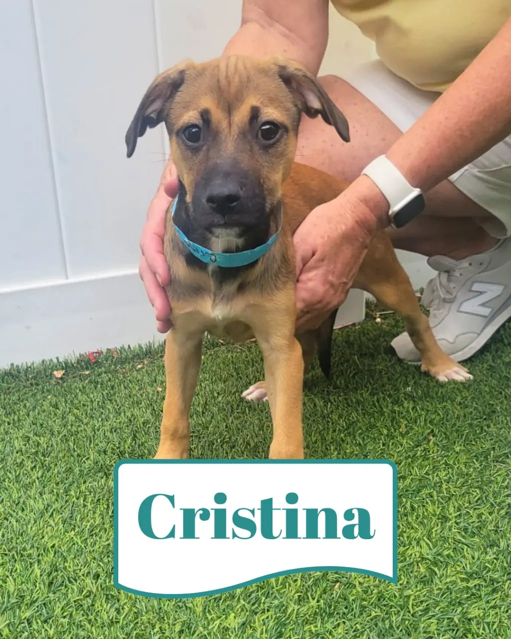 Isabella Pup - Cristina
