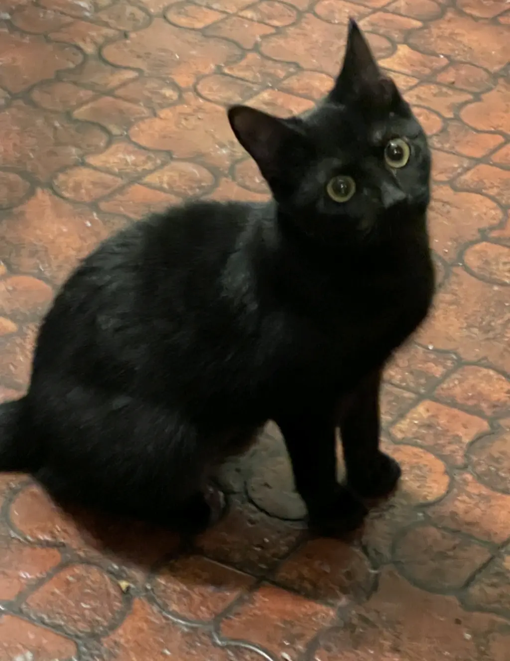 Onyx