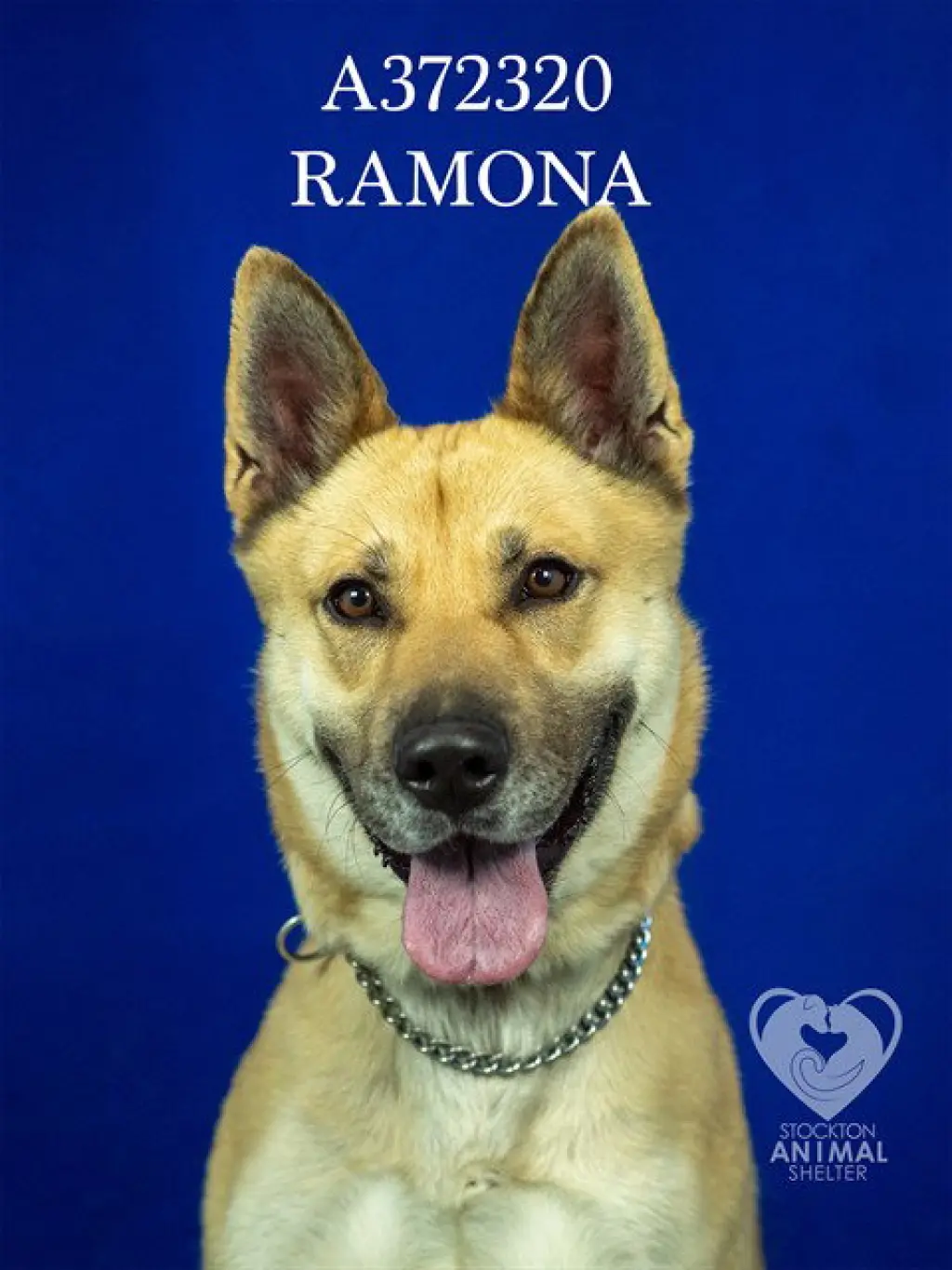 RAMONA
