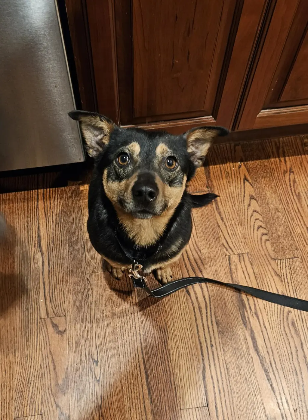 CHICO