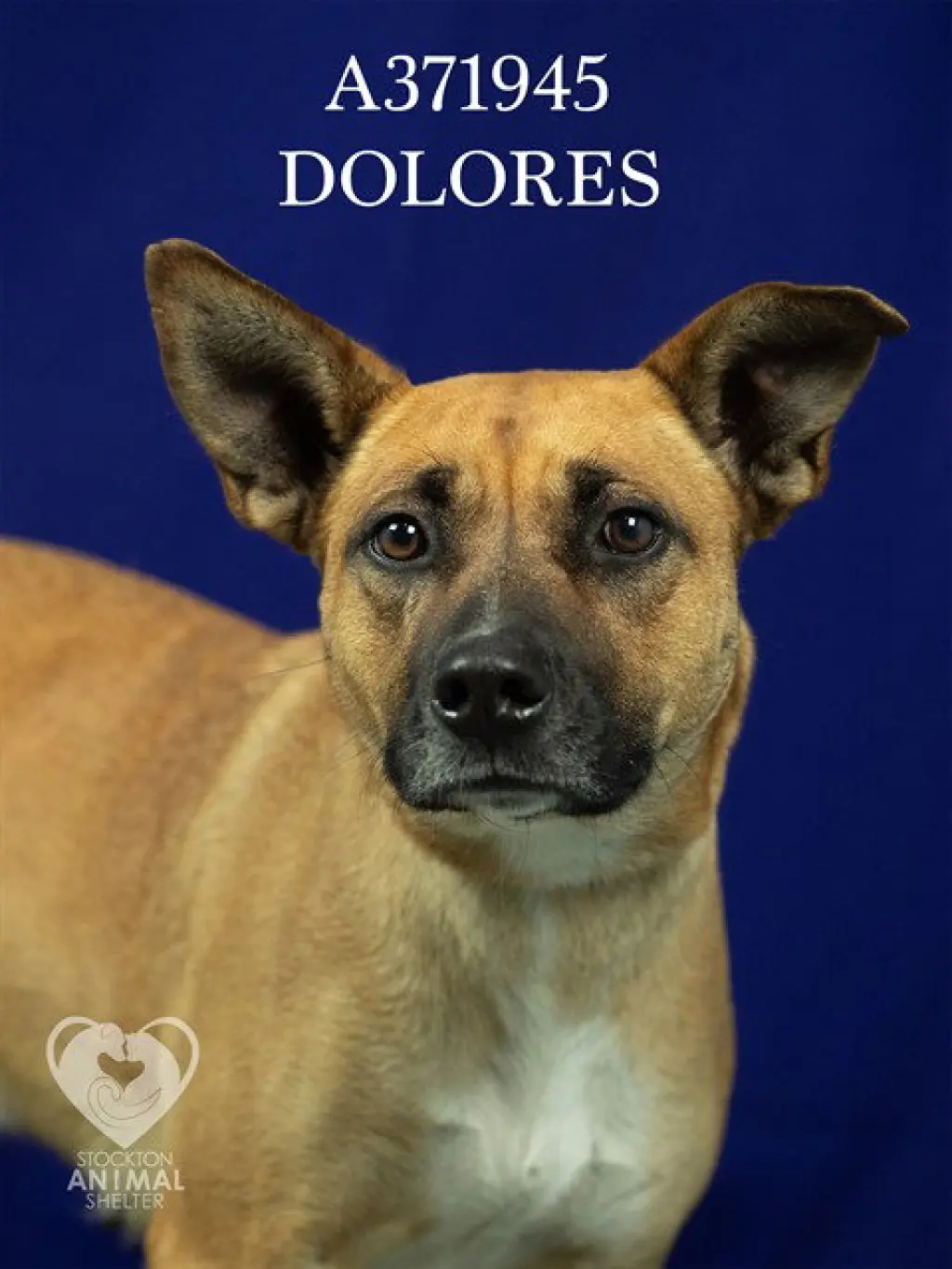 DOLORES