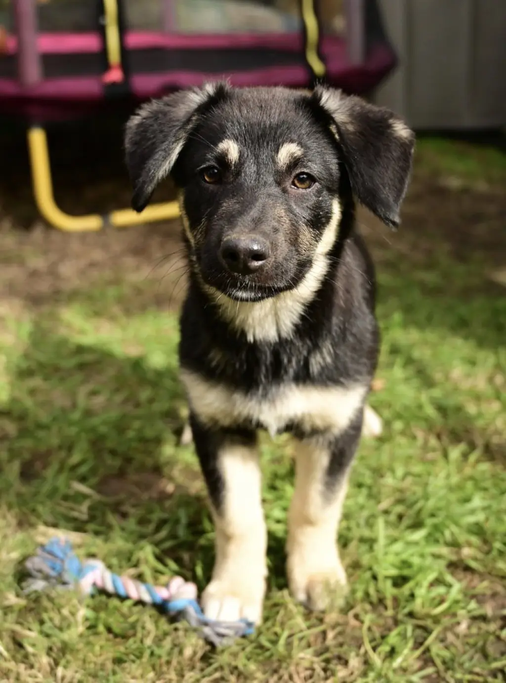 Shiloh