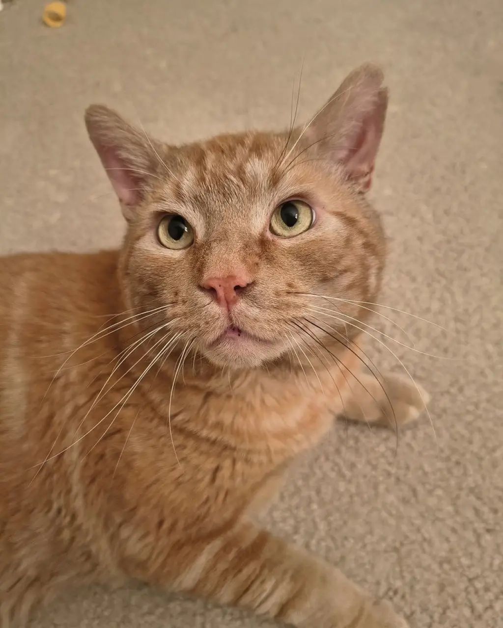 Rusty
