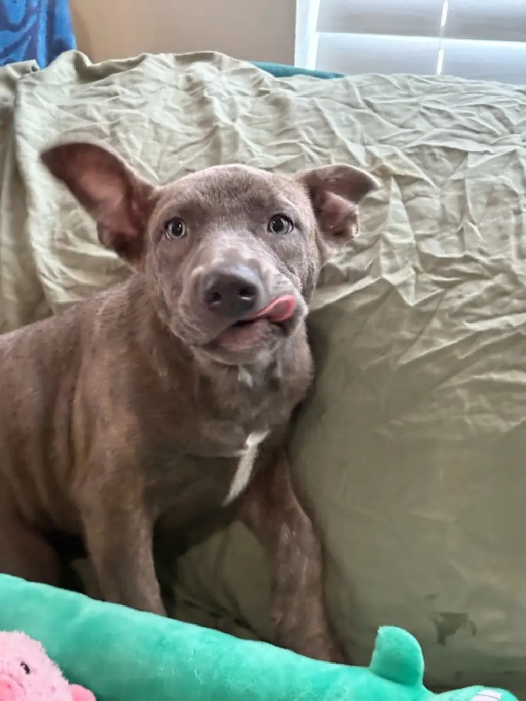 Tyra