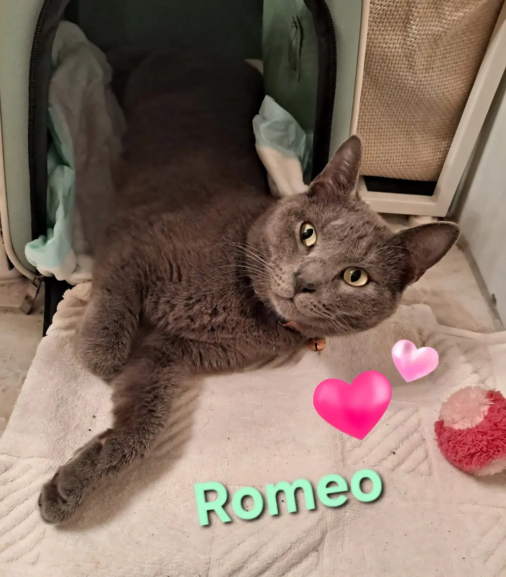 Romeo